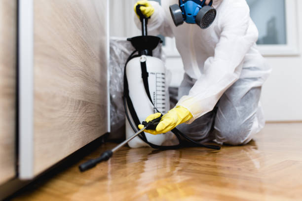 Best Emergency Pest Control  in Towaoc, CO