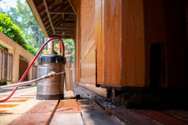 Best Affordable Pest Control Services  in Towaoc, CO