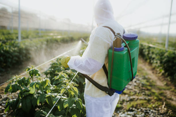 Best Exterminator Services  in Towaoc, CO